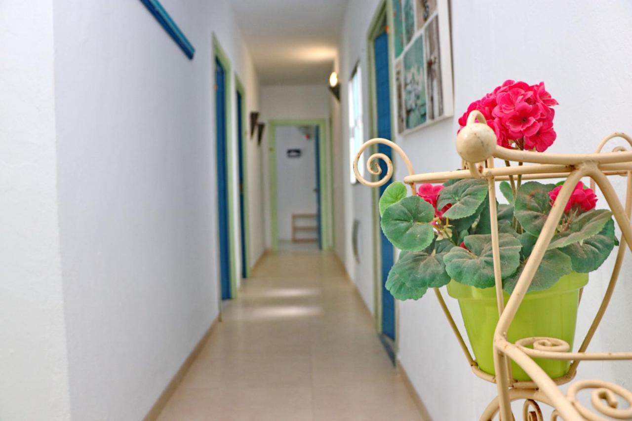 Habitacion Canaveral Playa Conil I コニル・デ・ラ・フロンテラ エクステリア 写真
